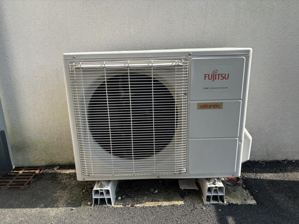 Alfea Extensa Duo AI5