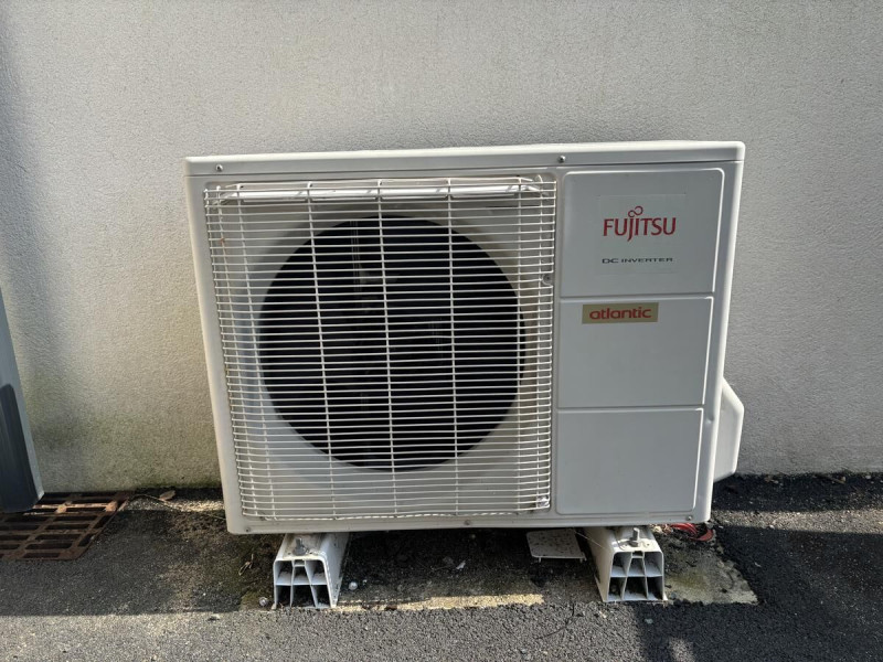 Alfea Extensa Duo AI5